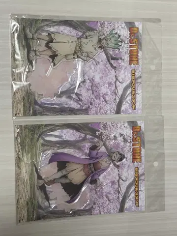 dr.stone 아크릴 스탠드 벚꽃 꽃놀이 이시가미 센쿠 아사기리 겐
