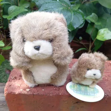TAKENOKO 곰 가족