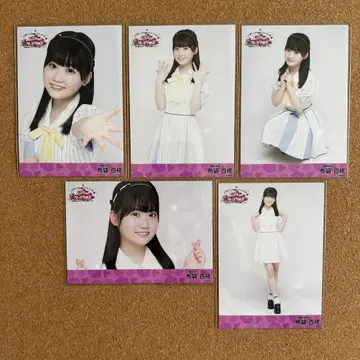 AKB48 호테이 모모카 [ 오랜만이야 카립 글로스 ] 5장 컴프