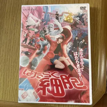 일하는 세포 DVD