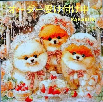 포메라니안 패널 오더 접수 중