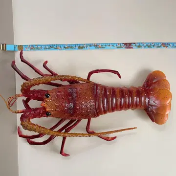 이세에비 피규어
