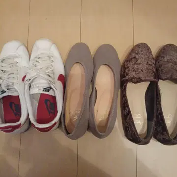 카토님 3점 묶음 판매