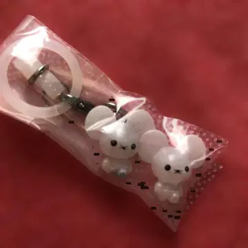 포켓몬 메지루시 액세서리 와카쥐