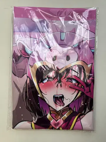 다케다 히로미츠 태피스트리