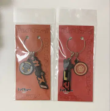 하이큐 키링 카라스노 네코마 합동 연습회