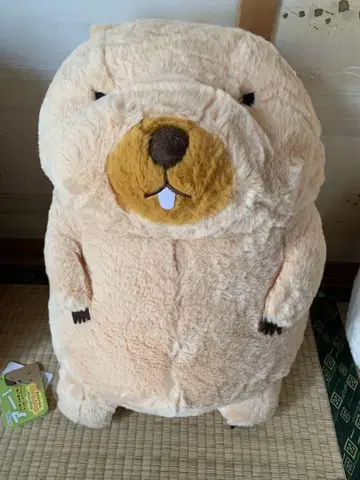 마모트의 모토토모아 울트라 BIG 봉제 인형 보바 군