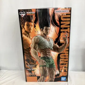 HF9215 미개봉 제일복권 헌터헌터 라스트 원 곤 성장ver.