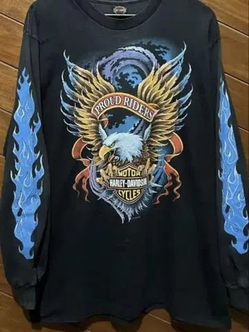 Harley-Davidson Eagle Blue Flame