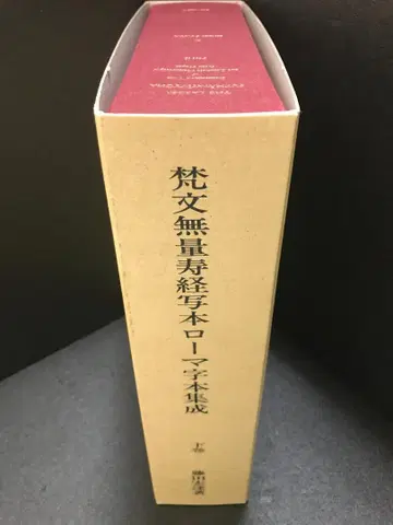 범문무량수경 사본 로마자 도서 집성 (하권)