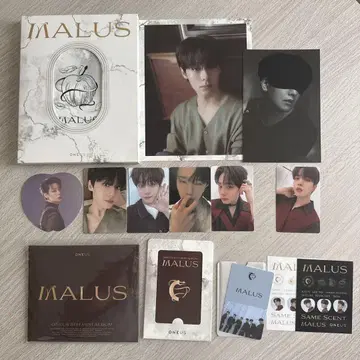 ONEUS MALUS CD 팬 팬운 트레이딩 카드