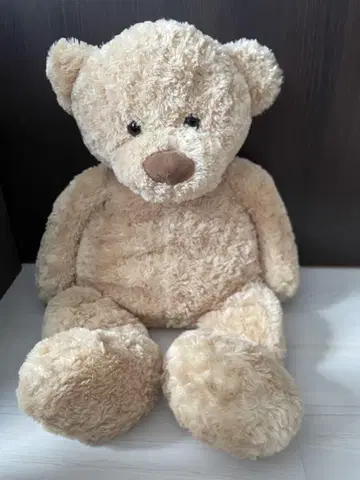 코스트코 곰 모양 봉제 인형