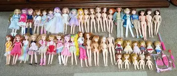 리카짱 인형 프리큐어 아빠 엄마 하루토 군 미키짱 마키짱 48체