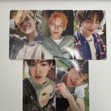 Cortis WeverseShop 한정판 혜택 트레이딩 카드