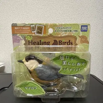 힐링 버즈 야마가라