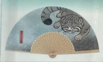 나스 동물 왕국 부채 마눌너구리
