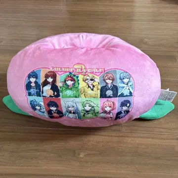 CULORFUL PEACH 컬러풀피치 티슈 커버 카라피치