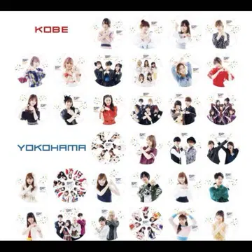 [스타라이트 구구조] 캔뱃지 아니마