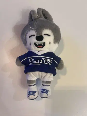 straykids 방찬 울프  JYPPOPUP