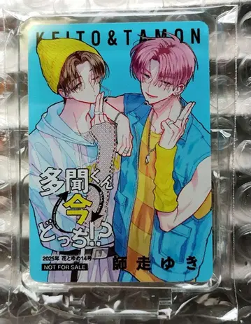 타몬군 지금 어느 쪽 아크릴 카드