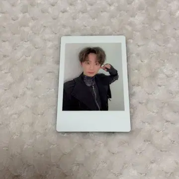 변덕쟁이 프린스 하피카 메세모아. Mesemoa. 변덕쟁이 프린스