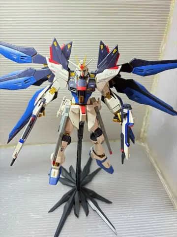 MG SEED DESTINY 1/100 스트라이크 프리덤 건담 완성품