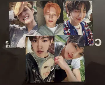 CORTIS weverse 3가지 형태 세트 트레이딩 카드