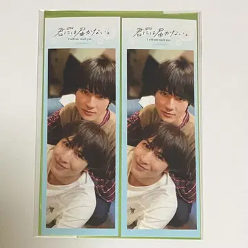 너에게 닿지 않아 사진 그레이풍 스티커 2장 세트