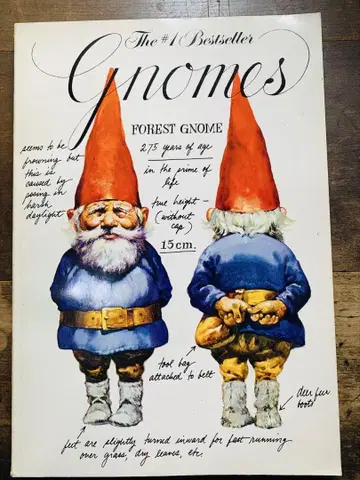 GNOMES FOREST gnomes