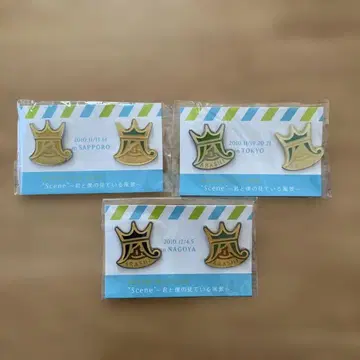 ARASHI 2010년 [ Scene ] 회장 한정판 핀 배지 3개 세트