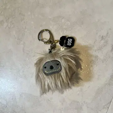 유니존 키링 데일 군
