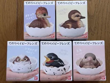 손바닥 베이비 프렌즈 타조 홍학 시마연가 제비 금화조