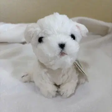 요시토쿠 봉제 인형견 말티즈 화이트견 강아지 강아지