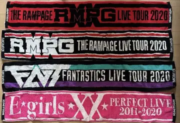 LDH live tour 2020 투어 타월 4개 세트