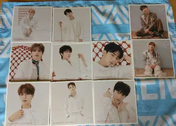 SEVENTEEN 24H 흩날리는 꽃잎 카드