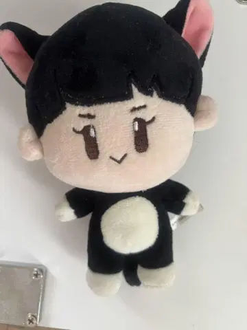 태민 봉제 인형