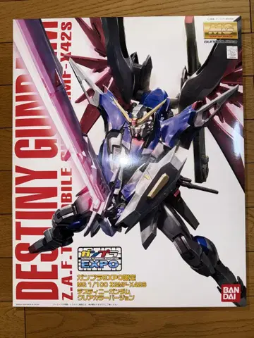 MG 1/100 데스티니 건담 클리어 컬러 버전 EXPO 한정판