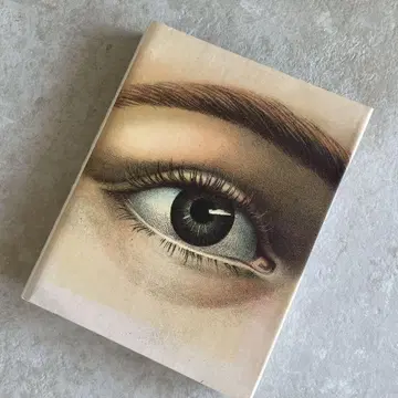 존 데리안 도서 픽처북