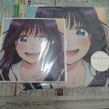 향기로운 꽃은 늠름하게 피다 CD 눈빛은 빛 메가 재킷 포함