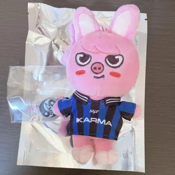 스키즈 KARMA SKZOO ver. 창빈