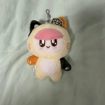 seventeen 모자 꽁지 키링 고양이