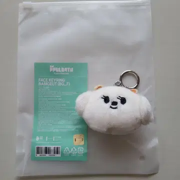 TXT PPULBATU FACE KEYRING 밤굿