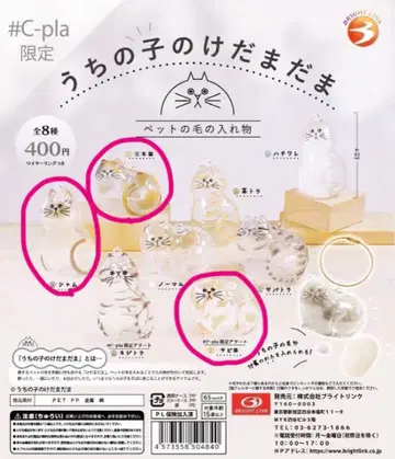 우리 집 아이 털뭉치 가챠가챠 삼색 고양이/샴/고양이 3점 세트