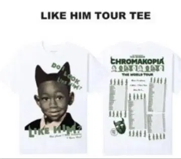 Tyler the creator tour tee 'like him'