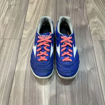 Mizuno Morelia