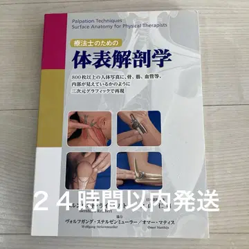 치료사를 위한 체표 해부학