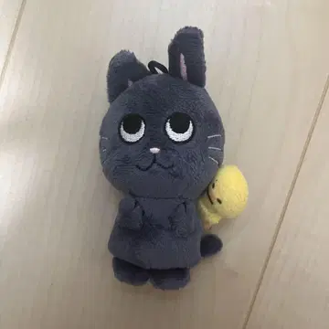 당일 발송 RIIZE 10cm 인형 원빈 냥이 공식