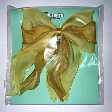 TXT 뿔바투 popup 팬운 HairTie