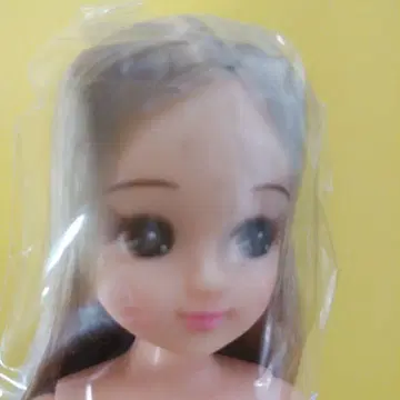 인형 교실 스탠다드 리카짱 실버