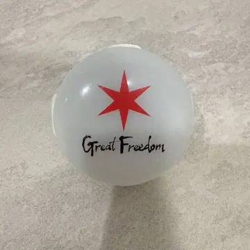 한정품 후쿠야마 마사히로 Great Freedom 싱크로 라이트 뱅글